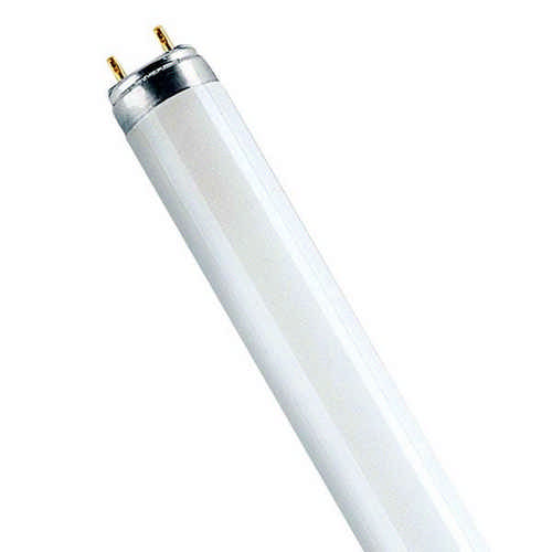 Leuchtstofflampe 16 Watt G13 3000 Kelvin - Osram